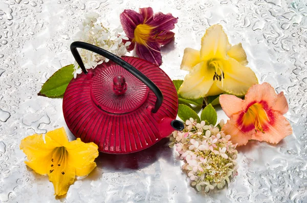 Te ceremoni: Tekanna med blommor på en regnig dag — Stockfoto