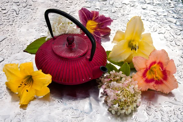 Cerimônia de chá: panela de chá com flores em um dia chuvoso — Fotografia de Stock