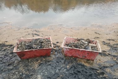 Nehir kıyısındaki nehrin dibinden iki kutu çöp..