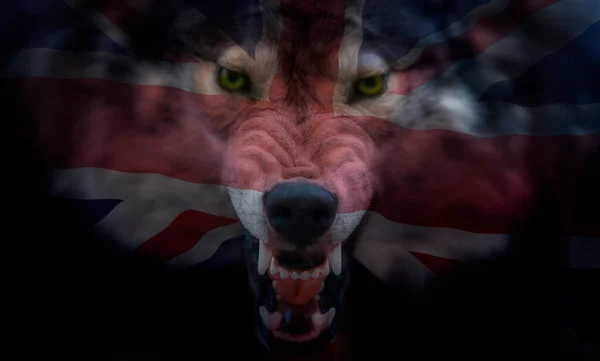 Великобритания Флаг Юнион Джек Проецируемый Морду Волка — стоковое фото