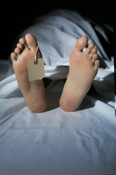 Morgue — Stock Photo, Image