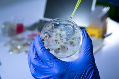 Cultured Microbes in Petri Dish clipart