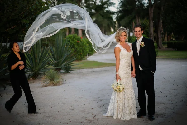 Casamento recente — Fotografia de Stock