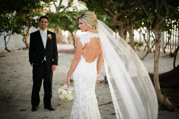 Casamento recente — Fotografia de Stock