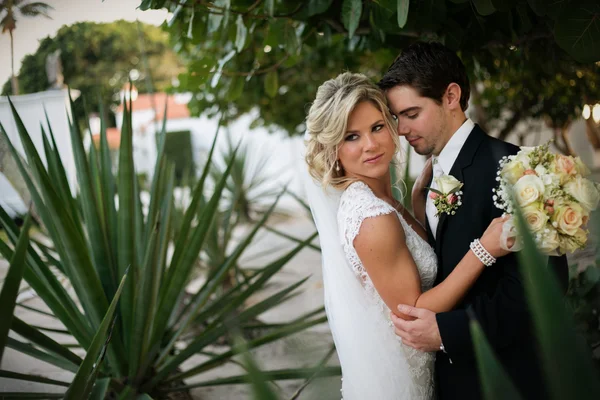 Casamento recente — Fotografia de Stock