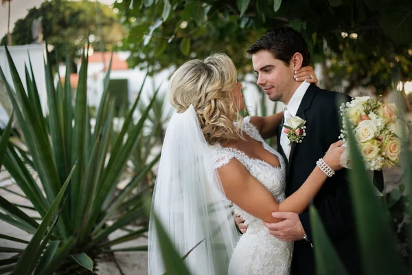 Recentemente Wedd — Foto Stock