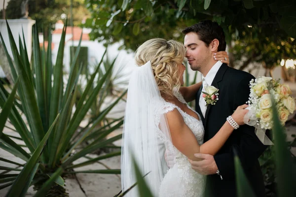 Casamento recente — Fotografia de Stock