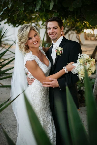 Casamento recente — Fotografia de Stock