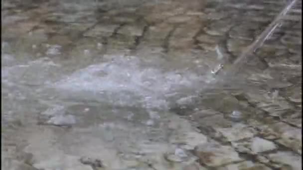 Fontana con acqua potabile — Video Stock