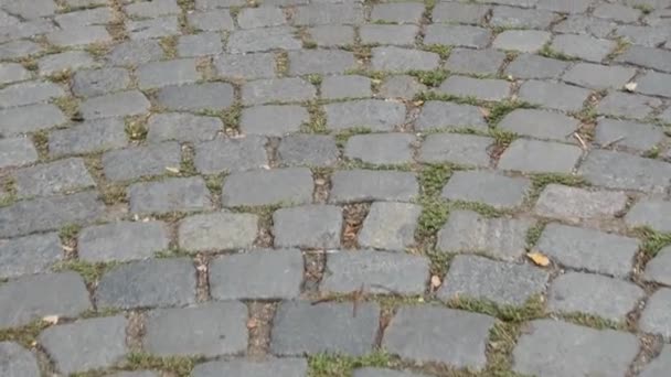 Cobbled street, fundo No.01 — Vídeo de Stock