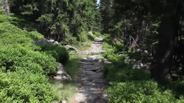 山の道に沿って歩く — ストック動画