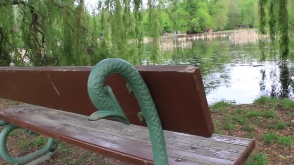 Romantiska bänk i parken vid sjön — Stockvideo