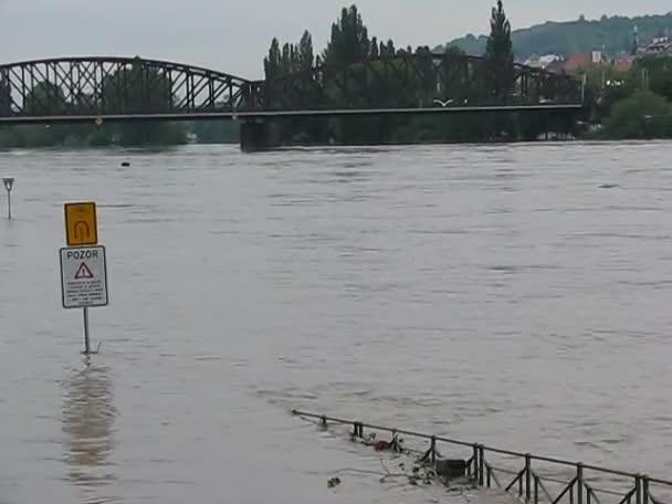 Grandes lluvias causaron inundaciones en Praga - República Checa . — Vídeo de stock