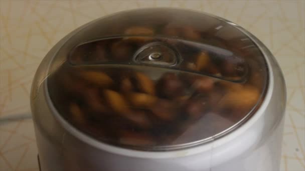 Chopped almonds and hazelnuts in a blender. Slow motions picture. — Stock Video