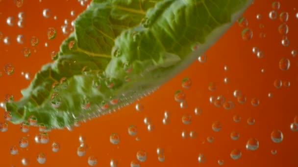 Saláta levelek, szénsavas víz, narancssárga háttér — Stock videók