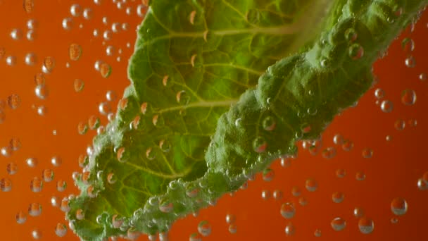 Hojas de ensalada en agua carbonatada sobre fondo naranja — Vídeos de Stock