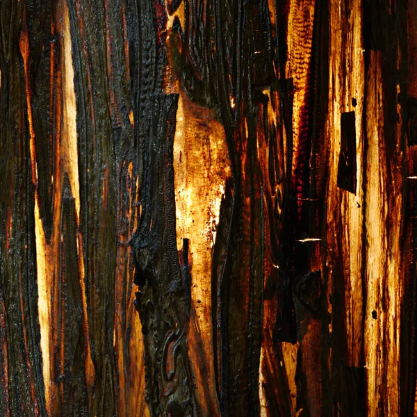 Old tree bark, illuminated texture — Stock Photo, Image