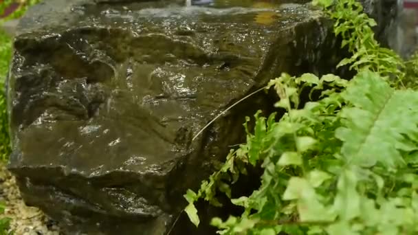 Traditionele natuurlijke fontein van Japans — Stockvideo