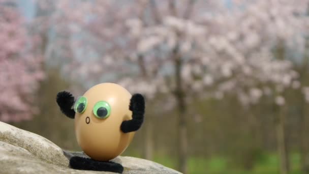 Klimmen grappige eieren — Stockvideo