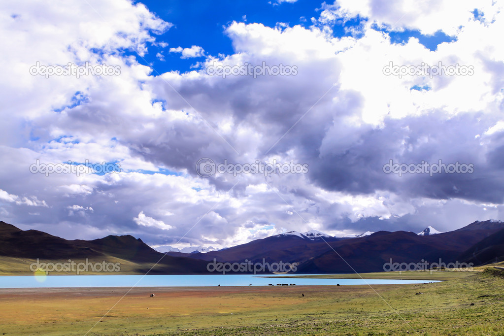 Yamdrok lake