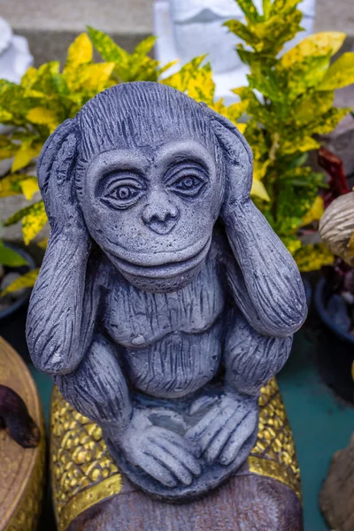 Wise monkey in asia temple, Chiang Mai, Thailand — Stock Photo, Image