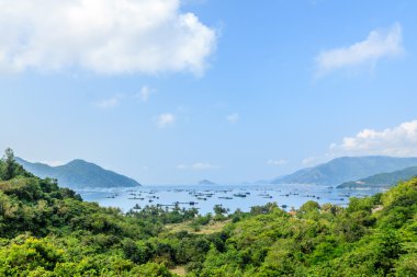 Vietnam Körfezi