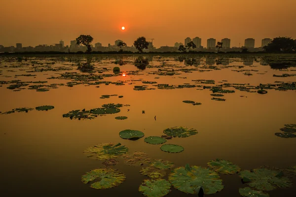 Zonsondergang op westlake — Stockfoto