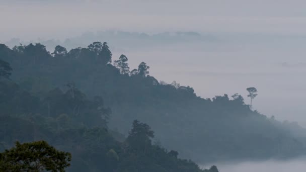 Morning Mist Khao Kho Viewpoint Chiang Mai Phetchabun Fog Mountain — Stockvideo