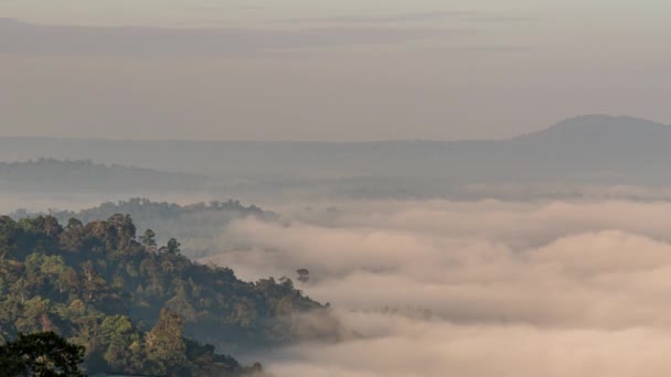 Morning Mist Khao Kho Viewpoint Phetchabun Fog Mountain — Stockvideo