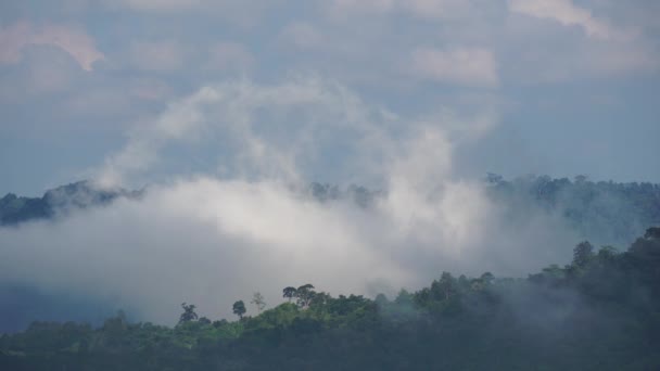 Rano Ruch Mgły Górach Cumulus Chmury Podążają Wiatrem Mgła Khao — Wideo stockowe