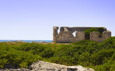 vahşi liman: salento