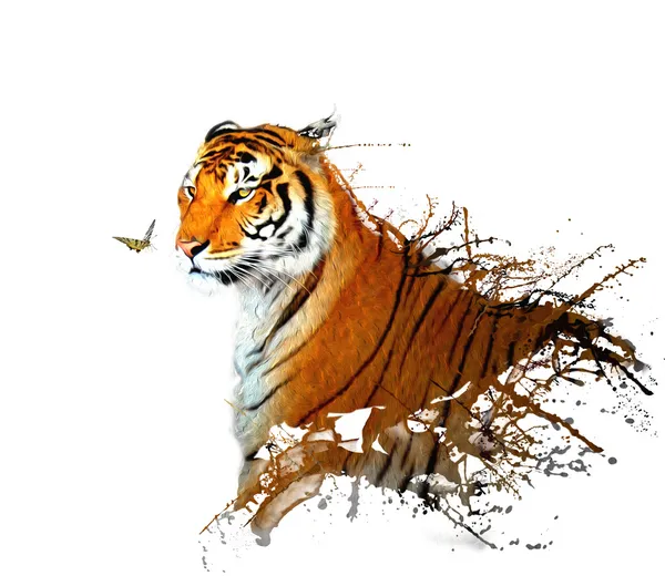 Tiger plantschen mit Schmetterling — Stockfoto