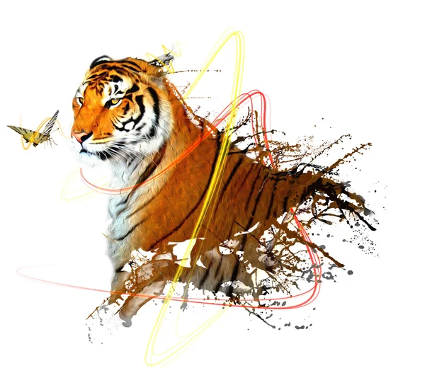 Tigerspritzer mit Schmetterling und schöner Wirkung — Stockfoto