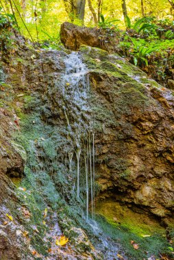 Dubovacki şelalesi Sırbistan 'daki Fruska gora dağında. Bu şelale Fruska Gora 'nın tacı..
