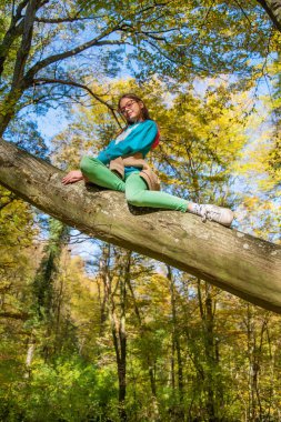 Küçük kız ağaca tırmandı. Sonbahar ormanında bir ağaçta oturan kız.