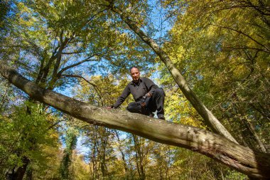 Adam ağaca tırmandı. Bir sonbahar ormanında ağaçta oturan adam