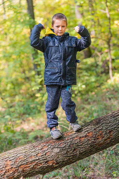 나무가 쓰러지고 균형을 잡고 서 있는 소년 — 스톡 사진