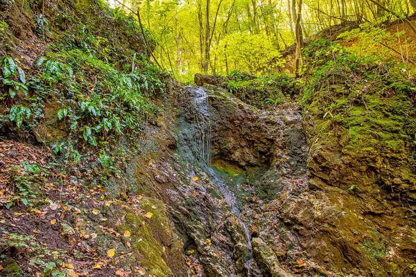 Дубовацкий Водопад Горе Фрушка Гора Сербии Водопад Корона Фрушки Горы — стоковое фото