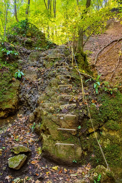 Climbing ladder in the mountains. Old Iron Ladder