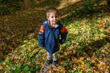 Çocuk ve doğa. Ormanda güzel bir çocuk.