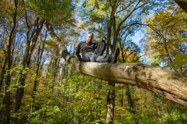 Adam ağaca tırmandı. Bir sonbahar ormanında ağaçta oturan adam