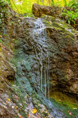 Dubovacki şelalesi Sırbistan 'daki Fruska gora dağında. Bu şelale Fruska Gora 'nın tacı..