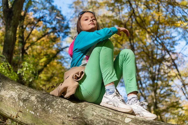 Mała Dziewczynka Wspięła Się Drzewo Dziewczyna Siedzi Drzewie Jesiennym Lesie — Zdjęcie stockowe