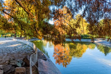 Novi Sad, Sırbistan - 29 Ekim 2021: Tuna Parkı (Sırpça: Dunavski Parkı), Novi Sad şehir merkezinde bir şehir parkı. 1895 'te kuruldu ve şehrin sembollerinden biri olarak korunuyor..
