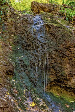 Dubovacki şelalesi Sırbistan 'daki Fruska gora dağında. Bu şelale Fruska Gora 'nın tacı..