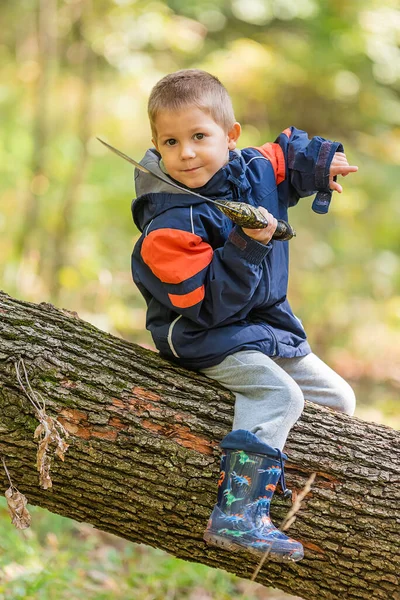 Młody Chłopiec Siedzi Fallen Tree Trunk Bawi Się Mieczem — Zdjęcie stockowe