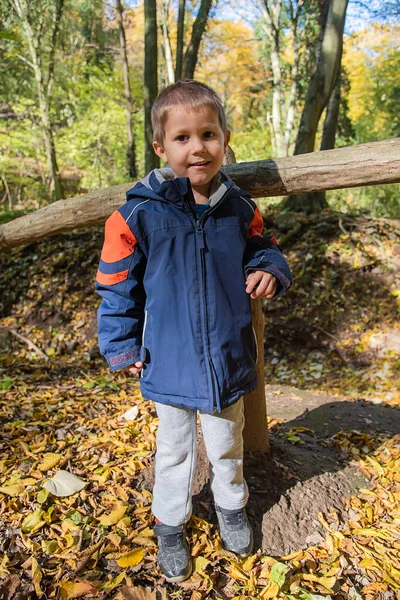 Dziecko Natura Piękny Chłopiec Lesie — Zdjęcie stockowe