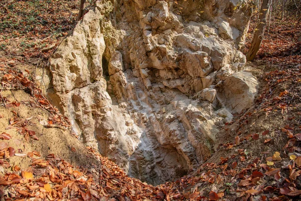 Ένας Βράχος Είσοδο Στη Σπηλιά Στο Δάσος — Φωτογραφία Αρχείου