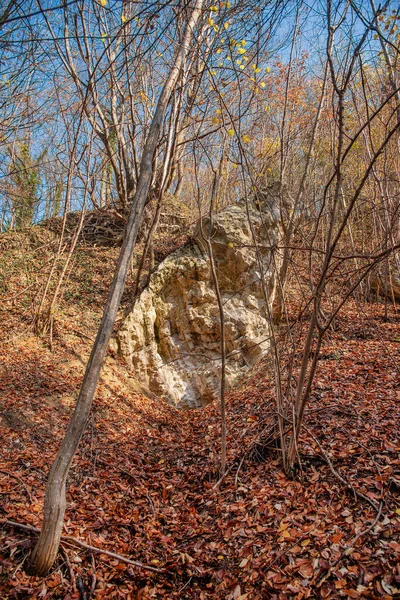Una Roca Con Una Entrada Cueva Bosque — Foto de Stock