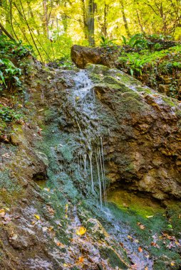 Dubovacki şelalesi Sırbistan 'daki Fruska gora dağında. Bu şelale Fruska Gora 'nın tacı..
